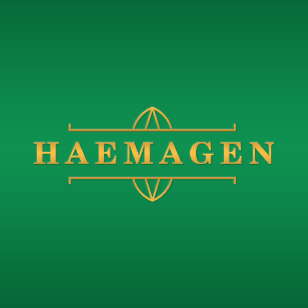 Store Hameagen